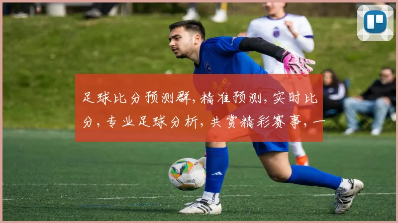 足球比分预测群,精准预测,实时比分,专业足球分析,共赏精彩赛事,一网打尽