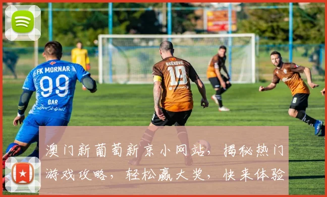 澳门新葡萄新京小网站，揭秘热门游戏攻略，轻松赢大奖，快来体验
