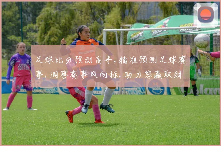 足球比分预测高手,精准预测足球赛事,洞察赛事风向标,助力您赢取财富